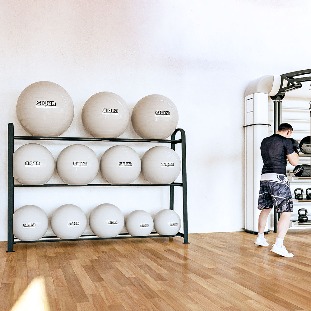0449 Gym Ball Storage Rack Sidea