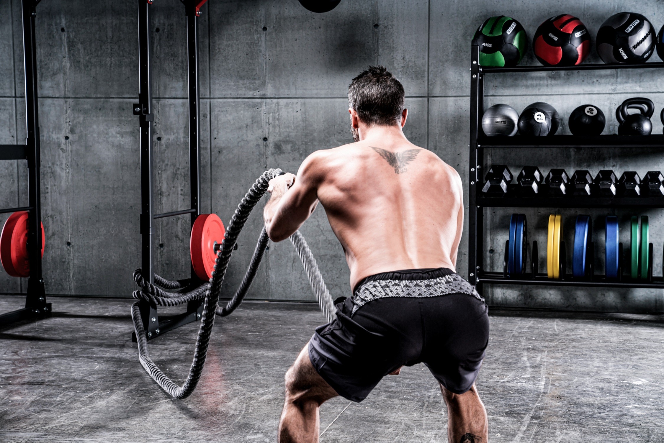 Gym Ropes: a high-intensity training tool for every user - Sidea Fitness